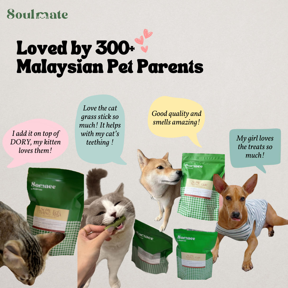 Somaee Freeze Dried Series Premium Pet Treats for Cat/Dog