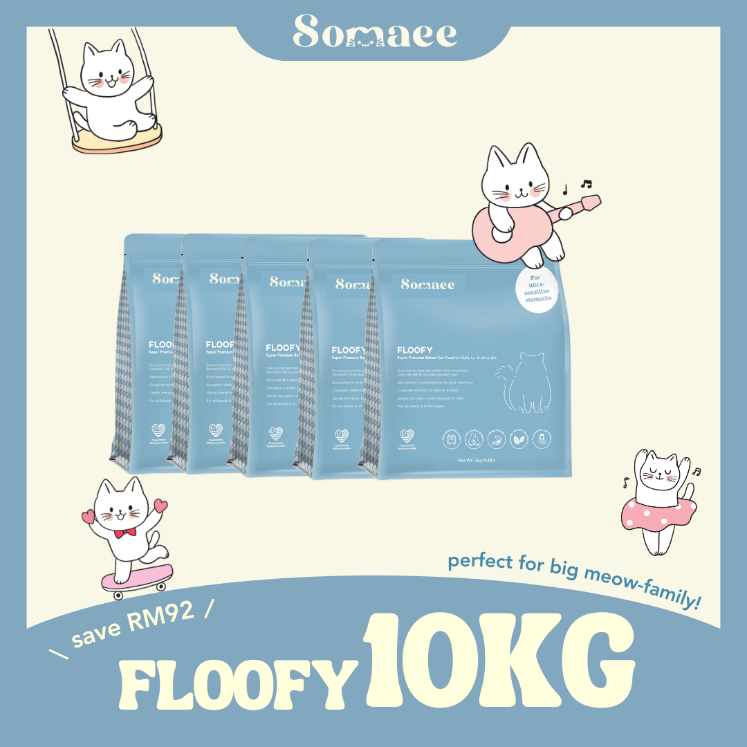 Somaee FLOOFY Super Premium Natural Slow-Baked Cat Kibble
