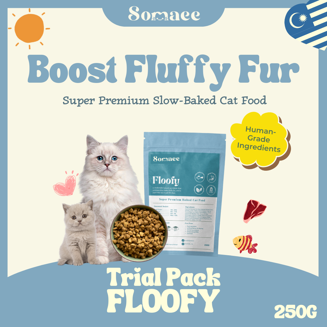 Somaee FLOOFY Super Premium Natural Slow-Baked Cat Kibble