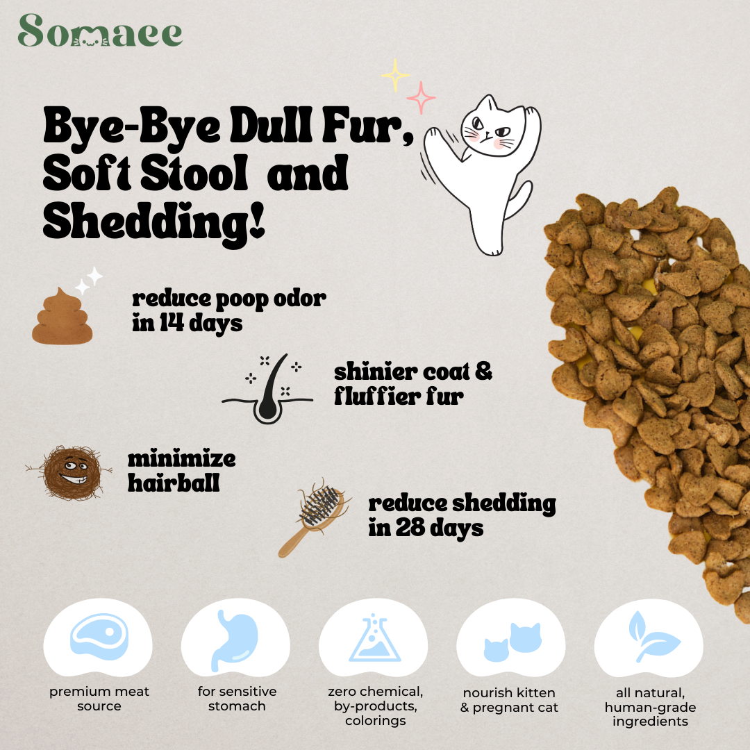 Somaee FLOOFY Super Premium Natural Slow-Baked Cat Kibble