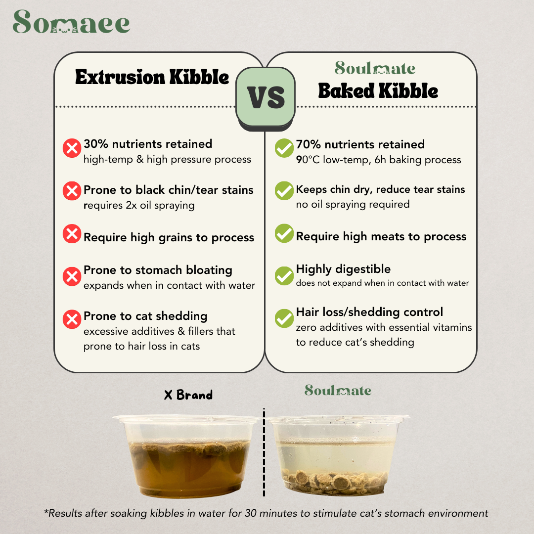 Somaee FLOOFY Super Premium Natural Slow-Baked Cat Kibble