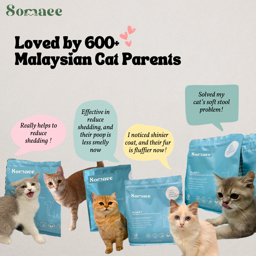 Somaee FLOOFY Super Premium Natural Slow-Baked Cat Kibble