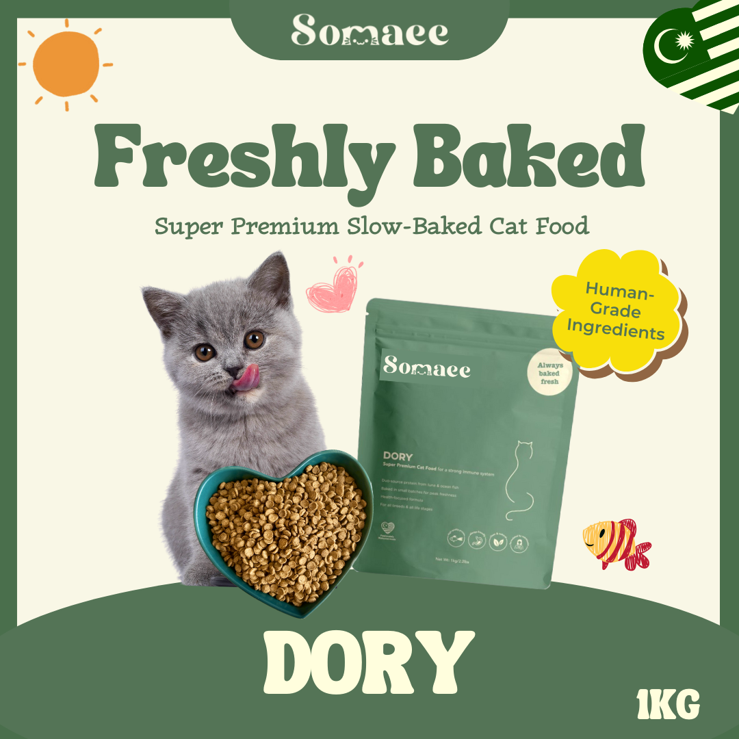 Somaee DORY Super Premium Natural Slow-Baked Cat Kibble