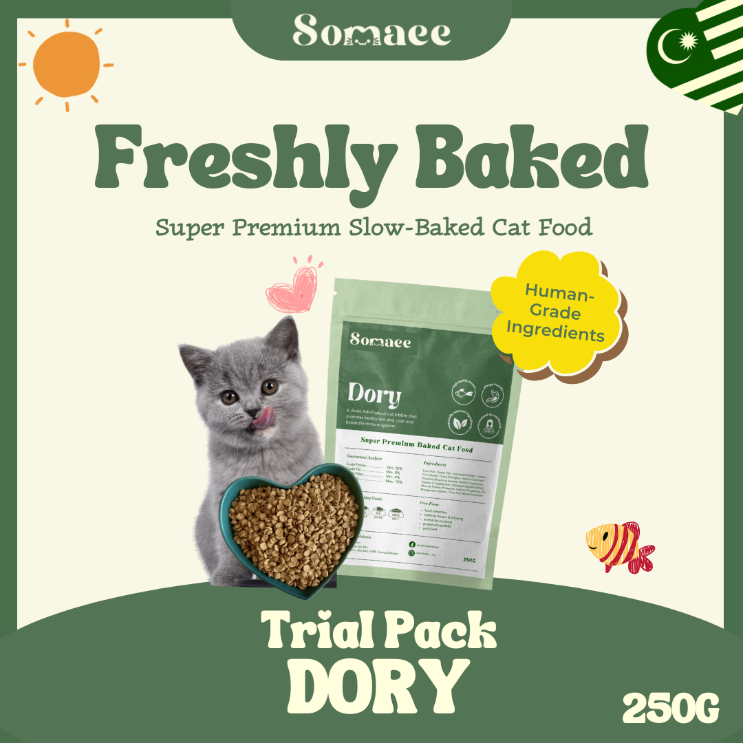 Somaee DORY Super Premium Natural Slow-Baked Cat Kibble