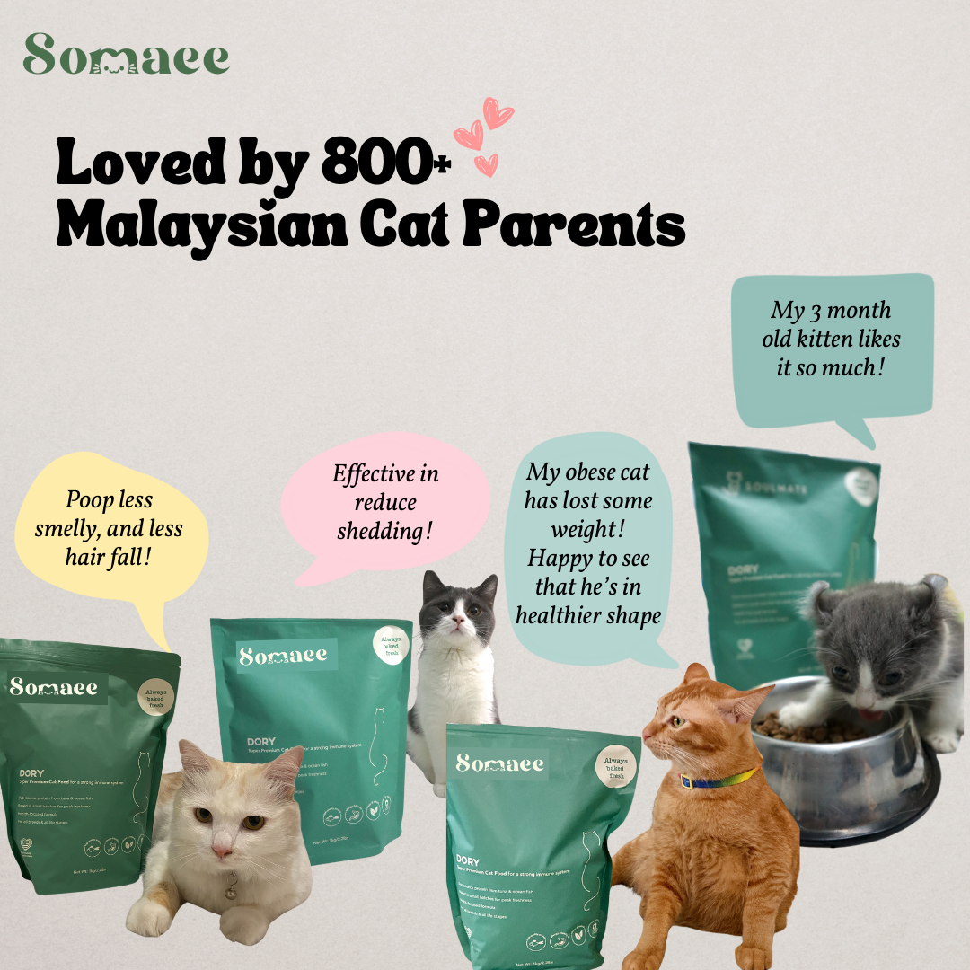 Somaee DORY Super Premium Natural Slow-Baked Cat Kibble
