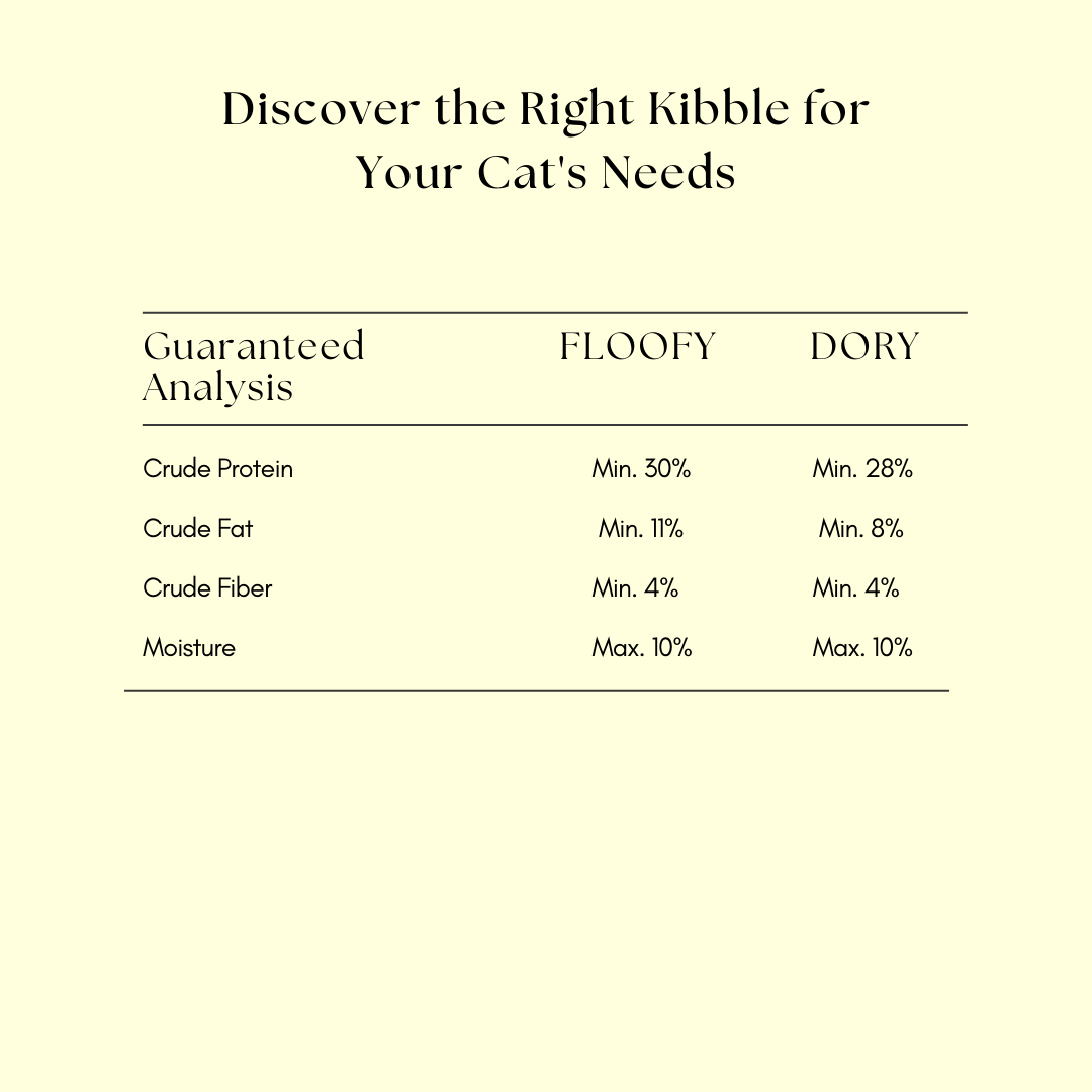 Somaee FLOOFY 2KG + DORY 2KG Natural Baked Cat Dry Food