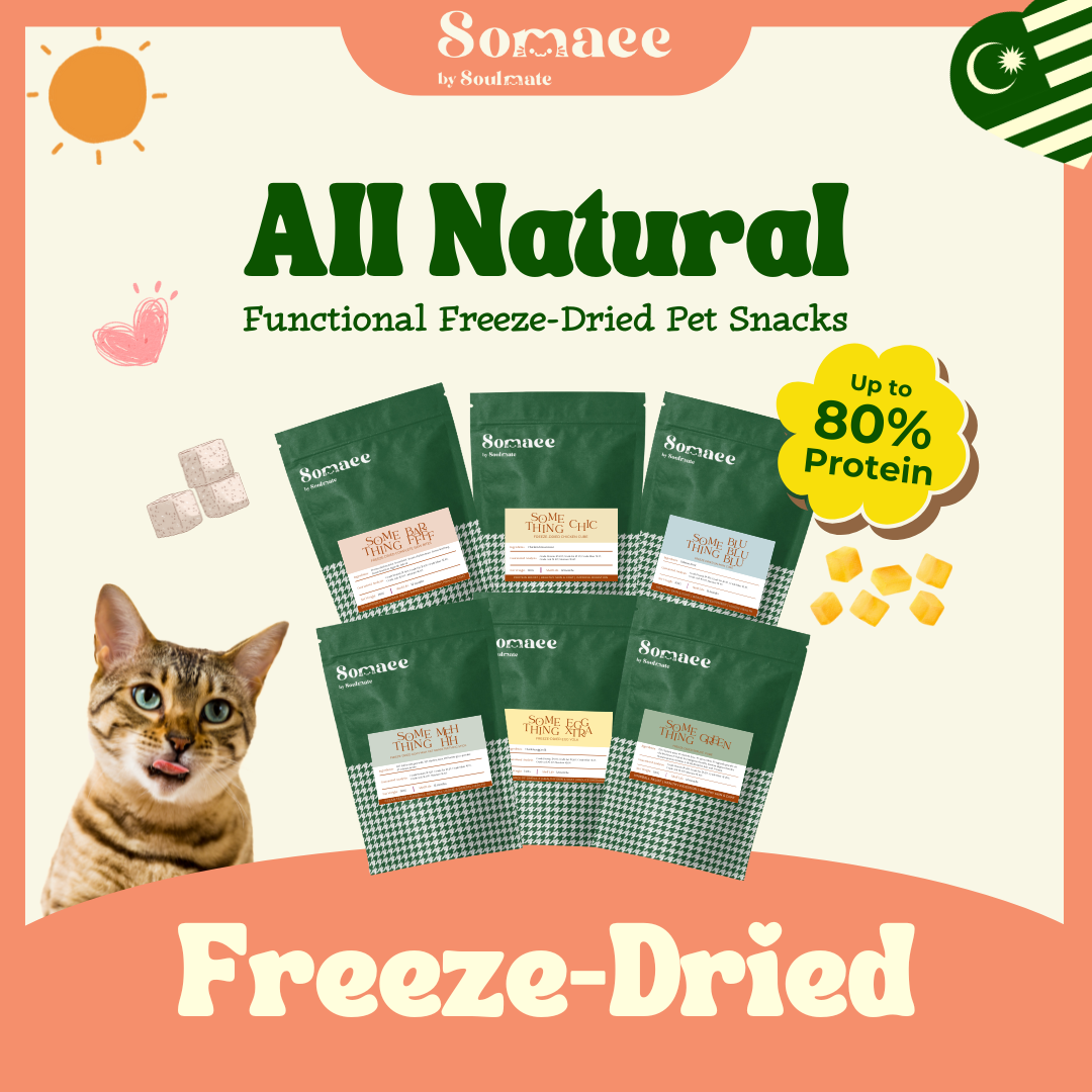 Somaee Freeze Dried Series Premium Pet Treats for Cat/Dog