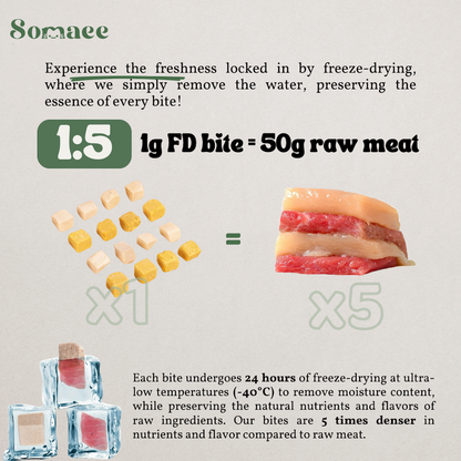 Somaee Premium Freeze Dried Pet Treats for Cat/Dog