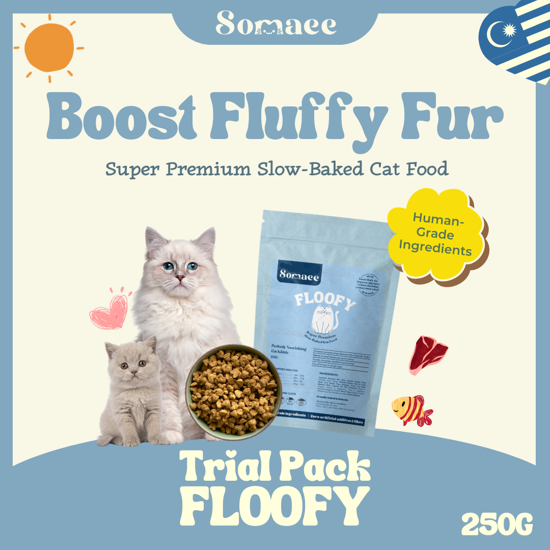 (PRE-ORDER-Ship by 10/10) Somaee FLOOFY Super Premium Natural Slow-Baked Cat Kibble