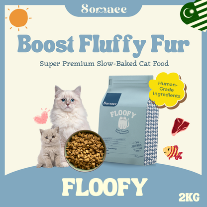 (PRE-ORDER-Ship by 10/10) Somaee FLOOFY Super Premium Natural Slow-Baked Cat Kibble