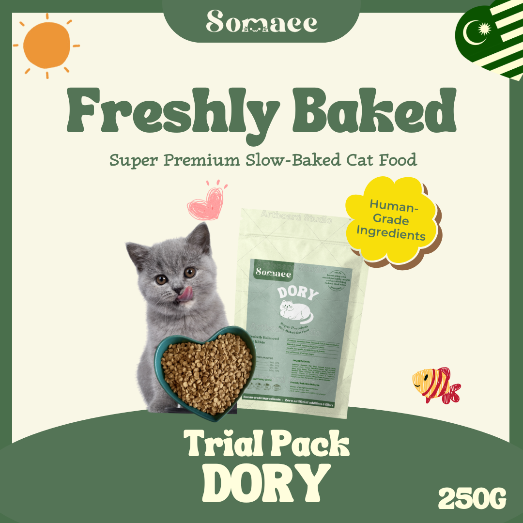 (PRE-ORDER- Ship by 10/10)Somaee DORY Super Premium Natural Slow-Baked Cat Kibble
