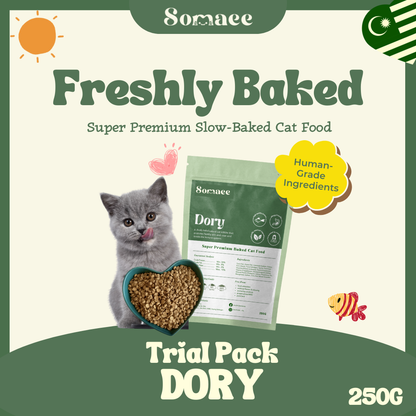 Somaee DORY Super Premium Natural Slow-Baked Cat Kibble