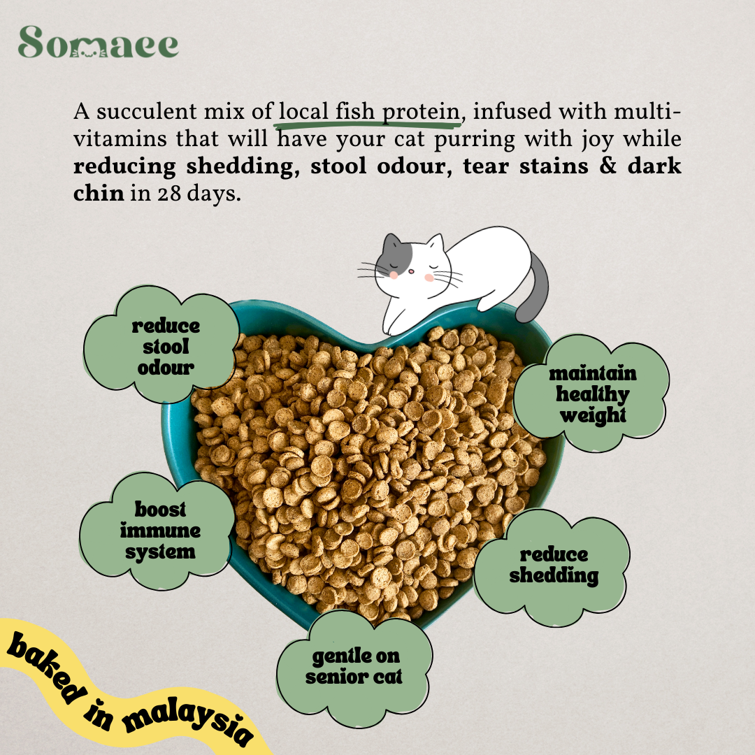 Somaee DORY Super Premium Natural Slow-Baked Cat Kibble
