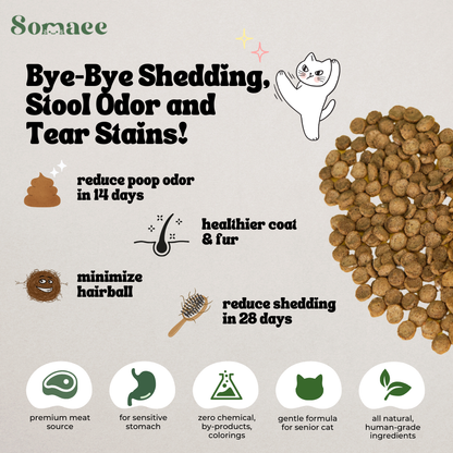 Somaee DORY Super Premium Natural Slow-Baked Cat Kibble