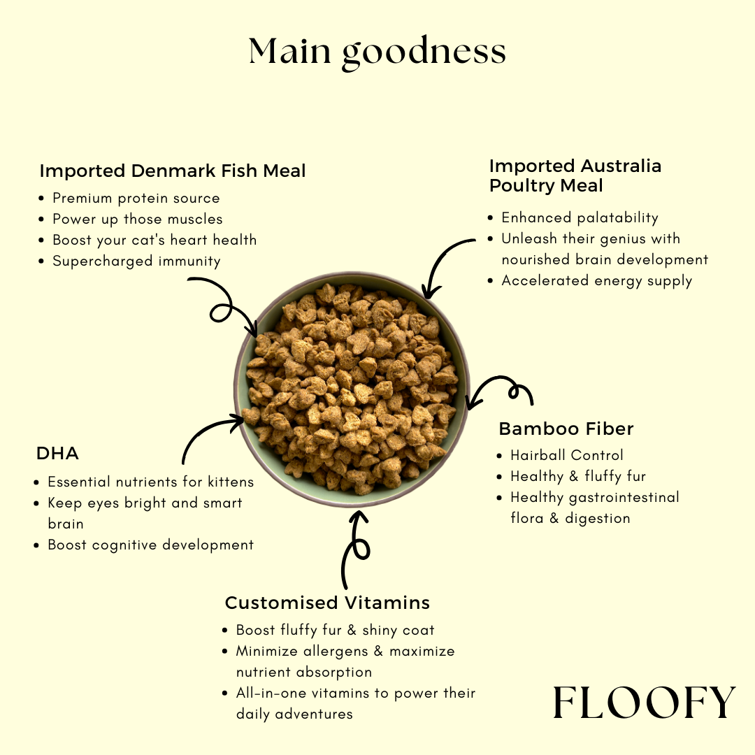 (PRE-ORDER-Ship by 10/10) [Super Combo] Somaee FLOOFY 2KG + DORY 2KG Natural Baked Cat Dry Food