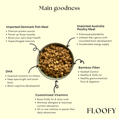 (PRE-ORDER-Ship by 10/10) [Super Combo] Somaee FLOOFY 2KG + DORY 2KG Natural Baked Cat Dry Food
