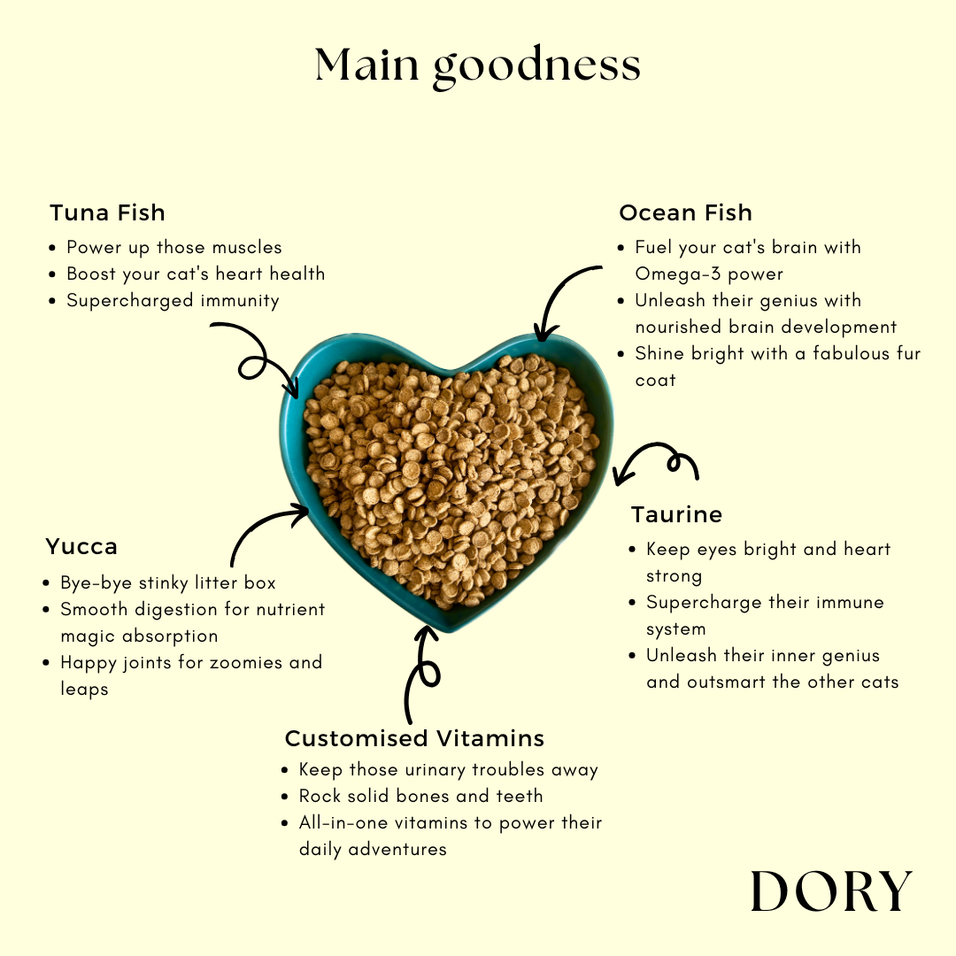(PRE-ORDER-Ship by 10/10) [Super Combo] Somaee FLOOFY 2KG + DORY 2KG Natural Baked Cat Dry Food
